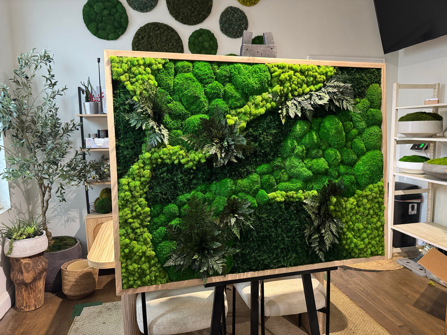 How Long Does Preserved Moss Last? Lifespan Guide