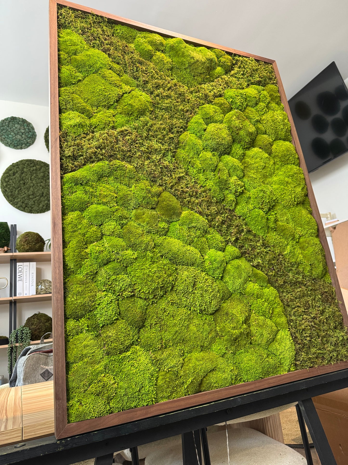 How to Bring Nature Indoors Without Plants