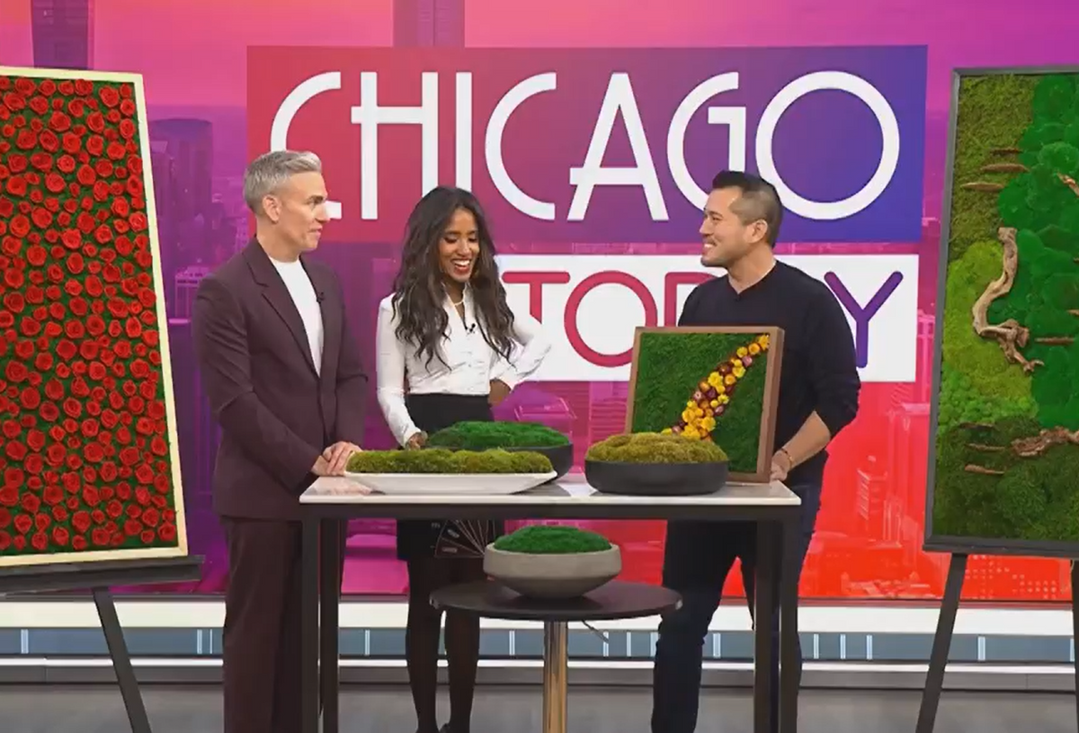 Matthew Rodrigues The Moss Shop Featured on NBC Chicago Today | Matthew Rodrigues ...