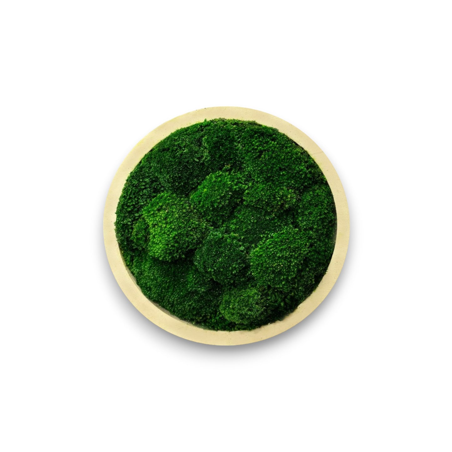 Circle Moss Art Frame with Mood Moss (Natural Frame) Medium Green