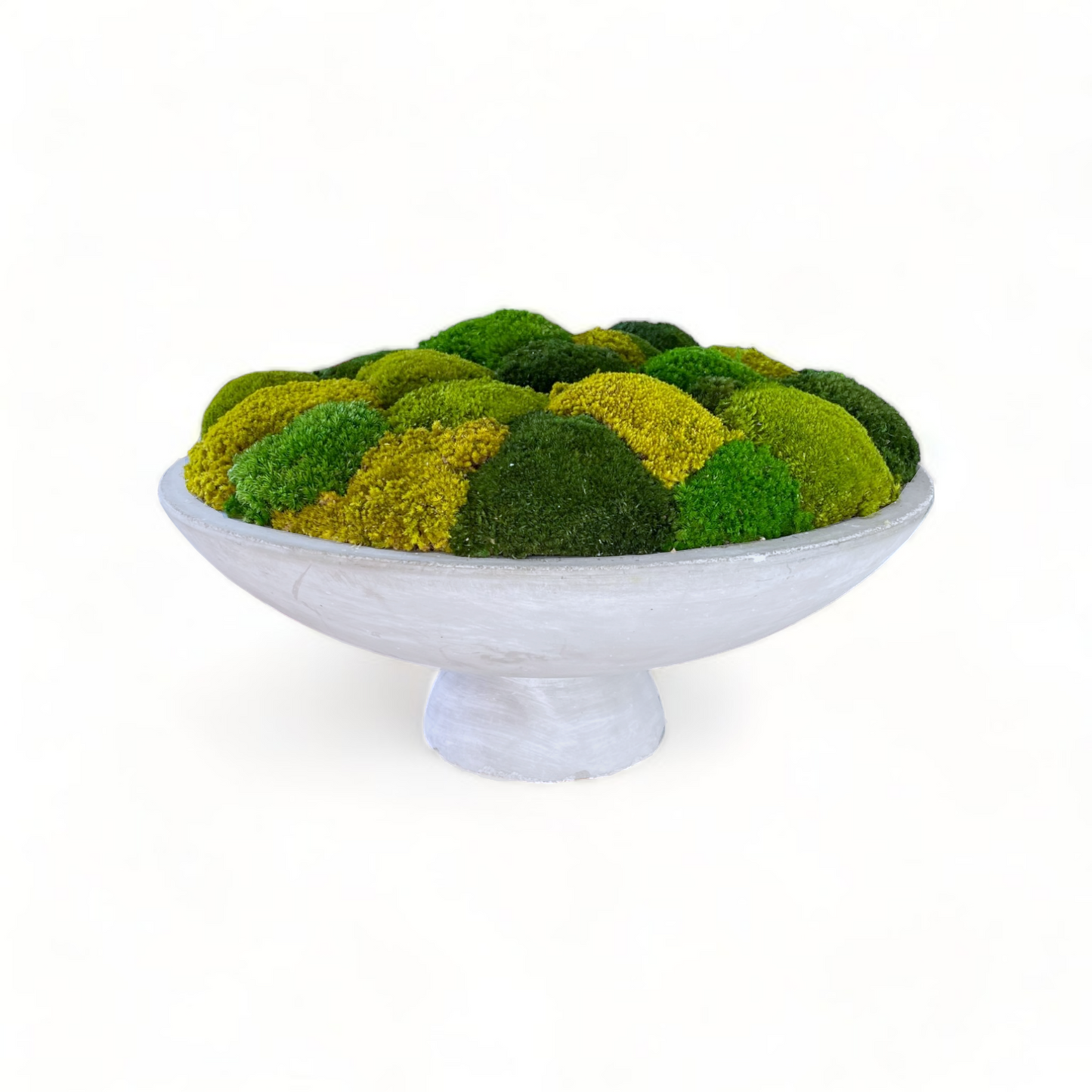 Opulent Concrete Moss Bowl