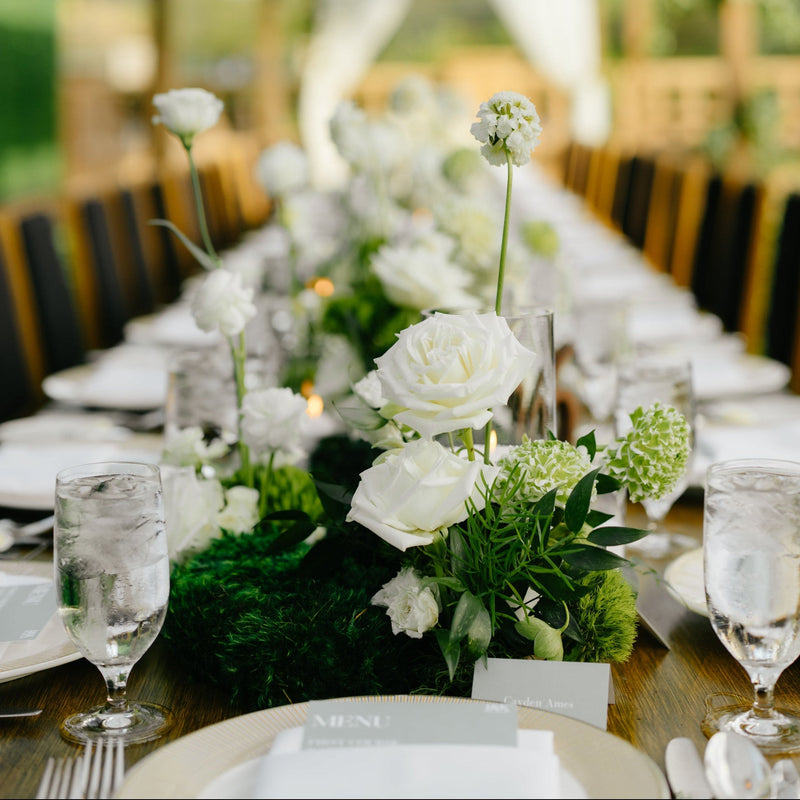 Del Mar Fairmont Resort Wedding