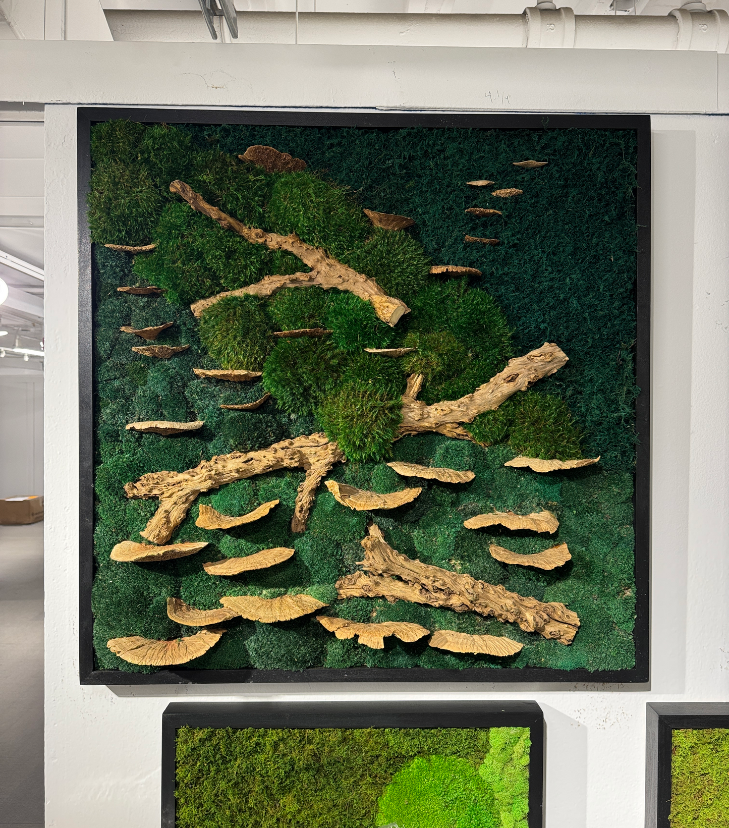 Ready to Ship: Drift & Bloom Moss Art Frame – The Moss Shop