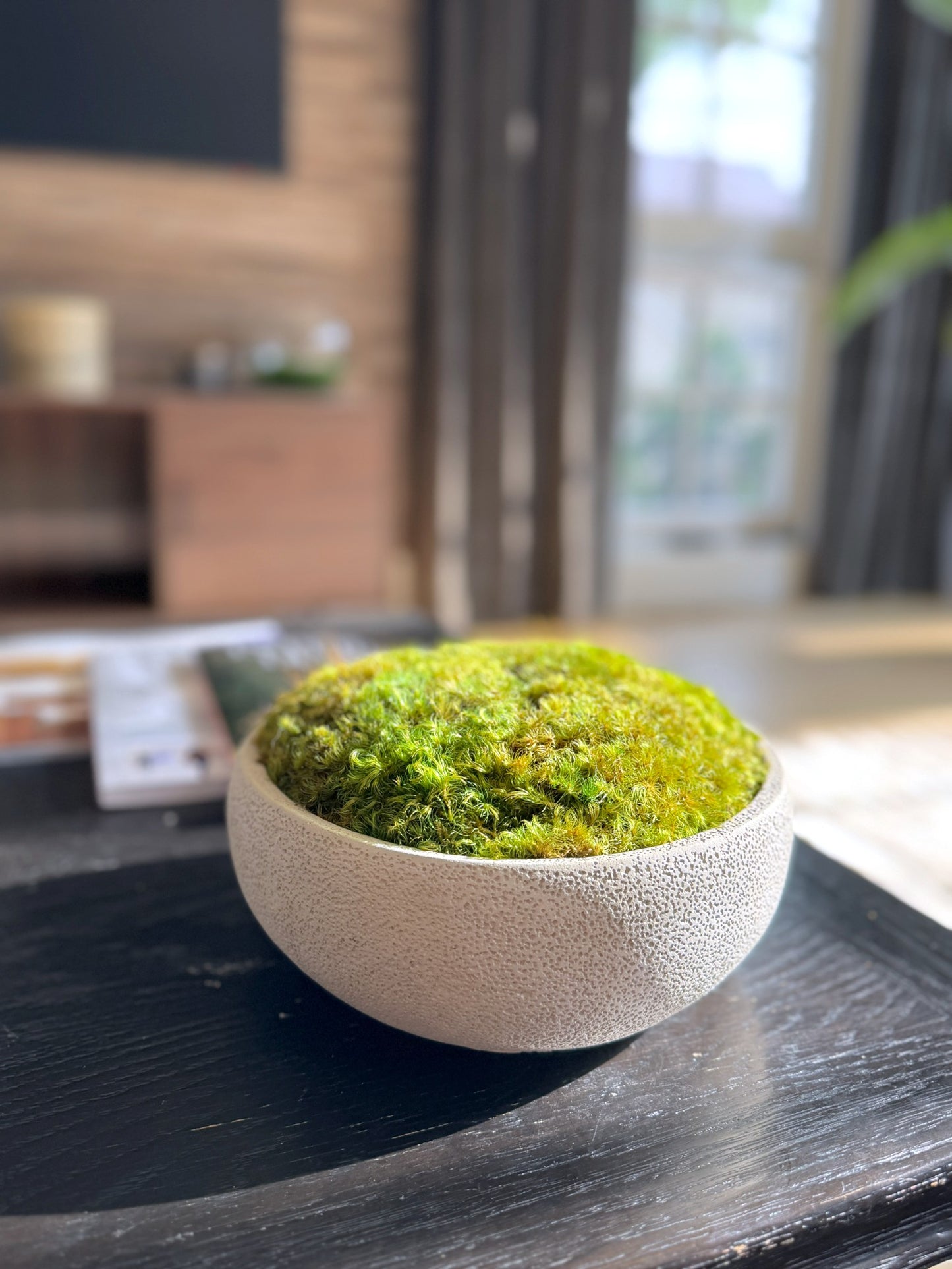 Textured Concrete Moss Bowl