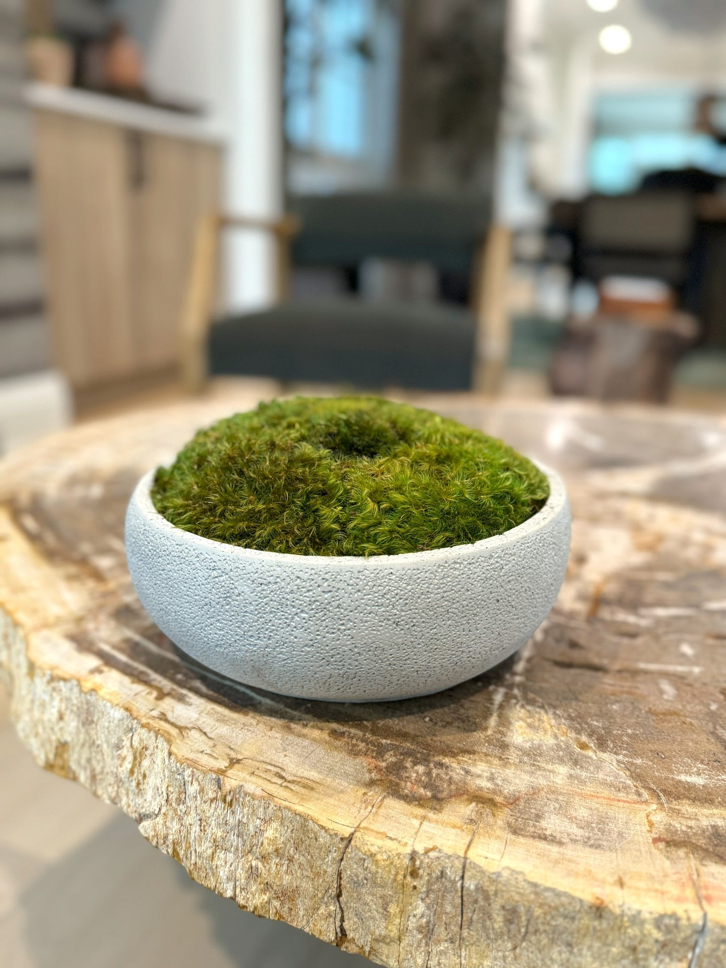 Textured Concrete Moss Bowl