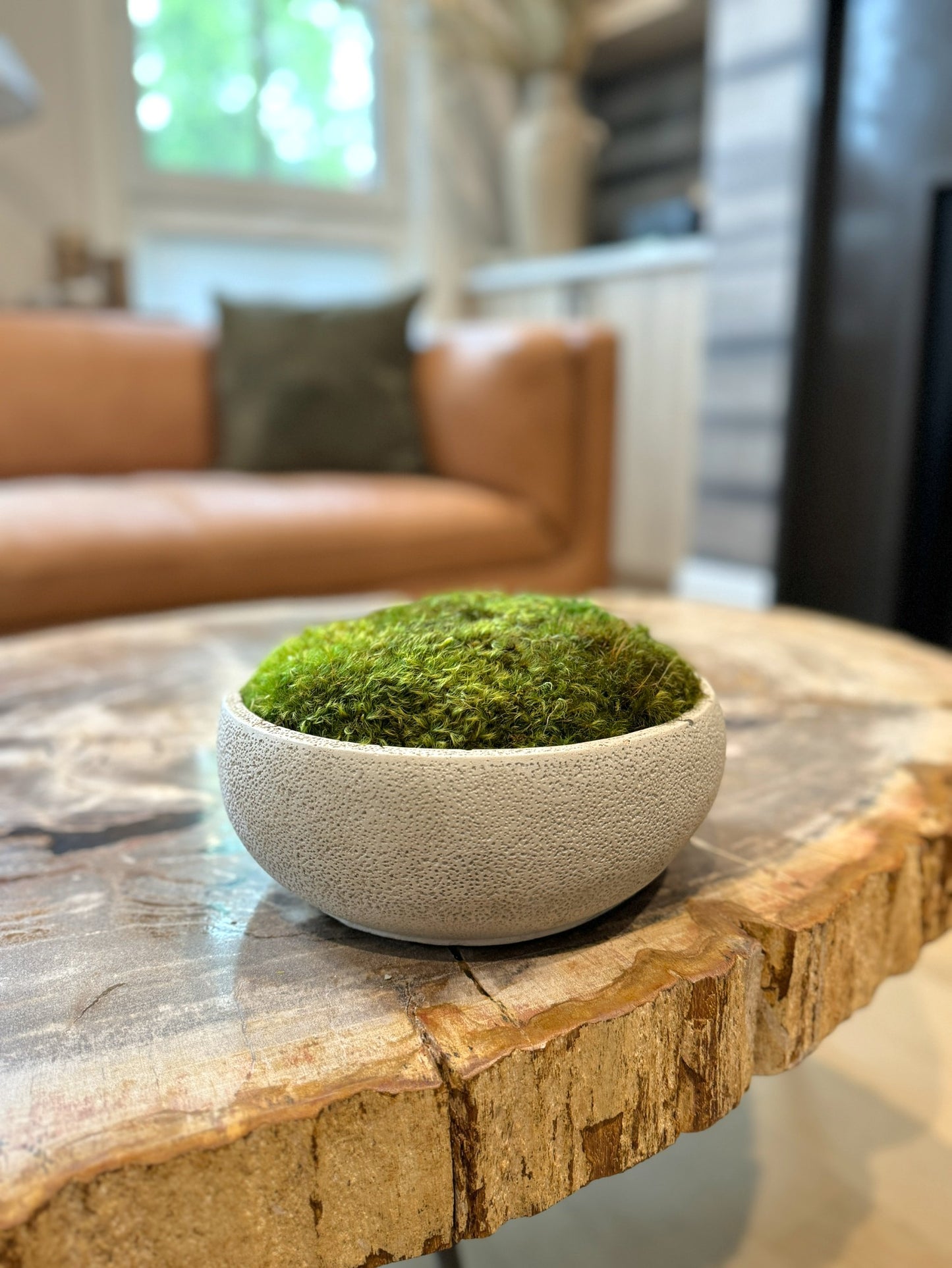 Textured Concrete Moss Bowl