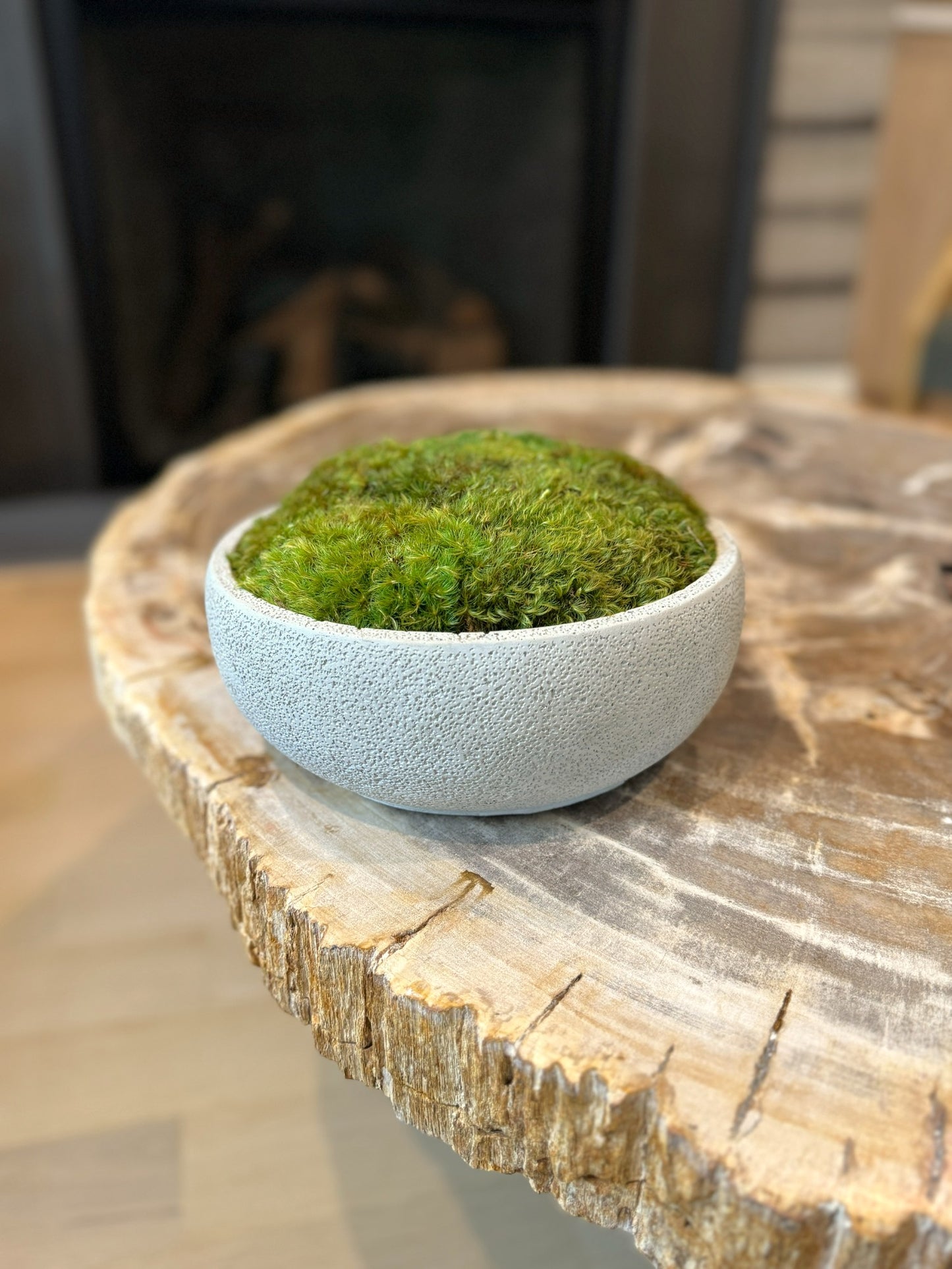 Textured Concrete Moss Bowl