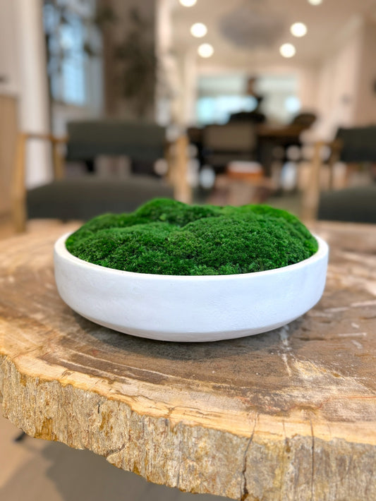 Clean Slate Concrete Moss Bowl