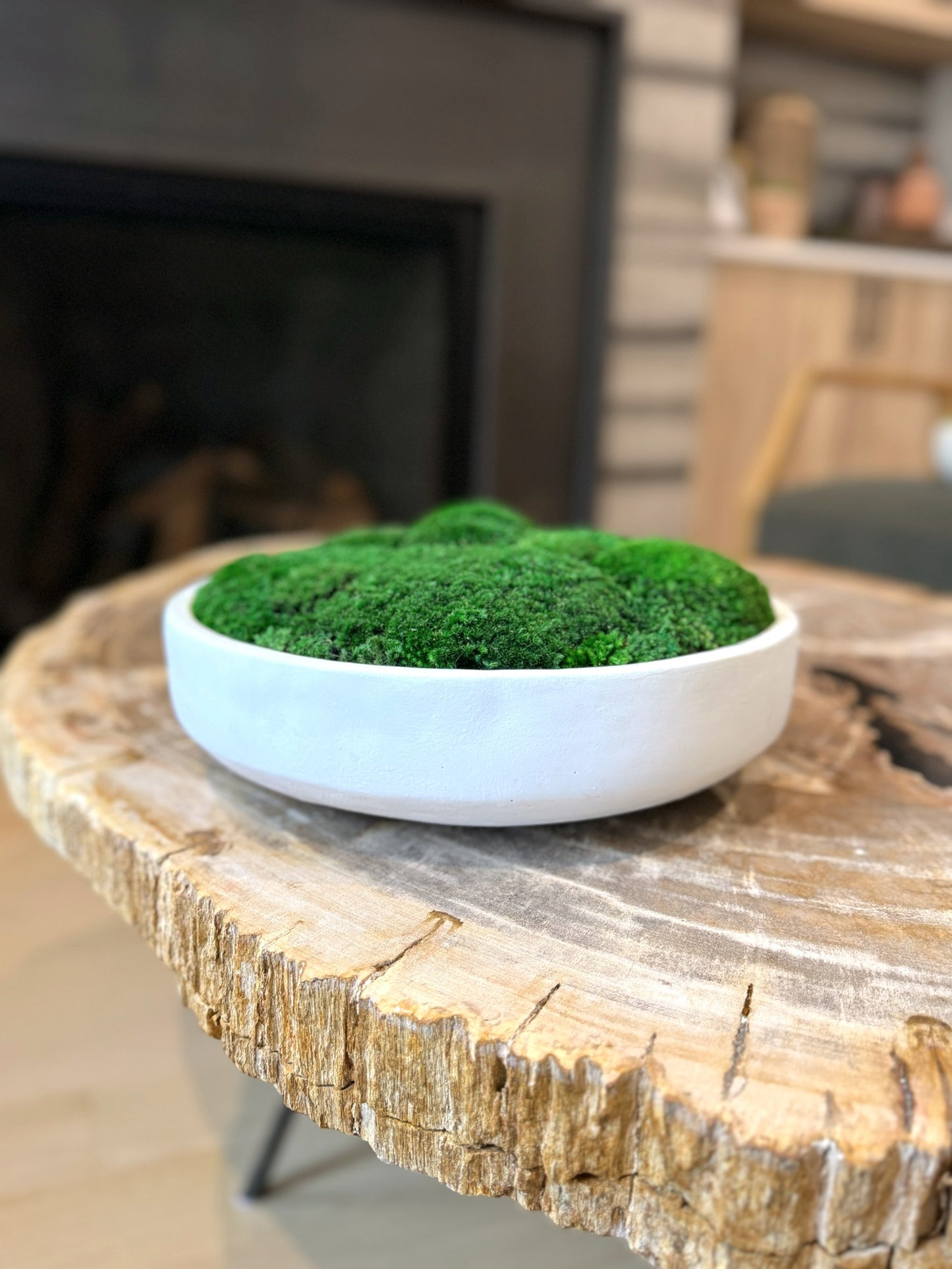 Clean Slate Concrete Moss Bowl