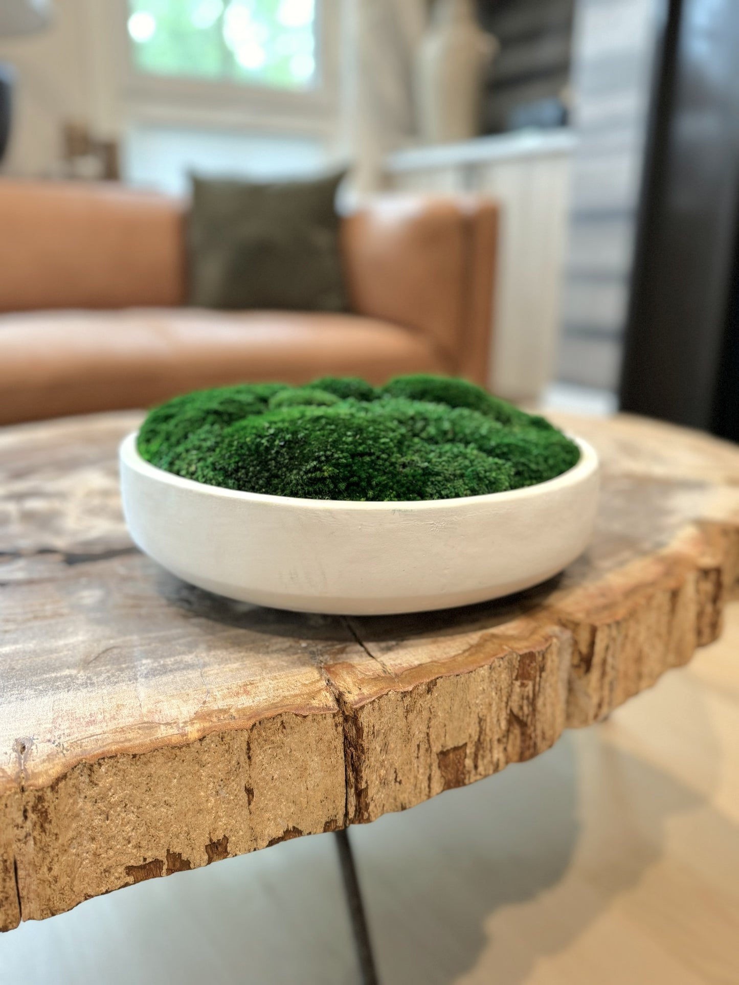 Clean Slate Concrete Moss Bowl