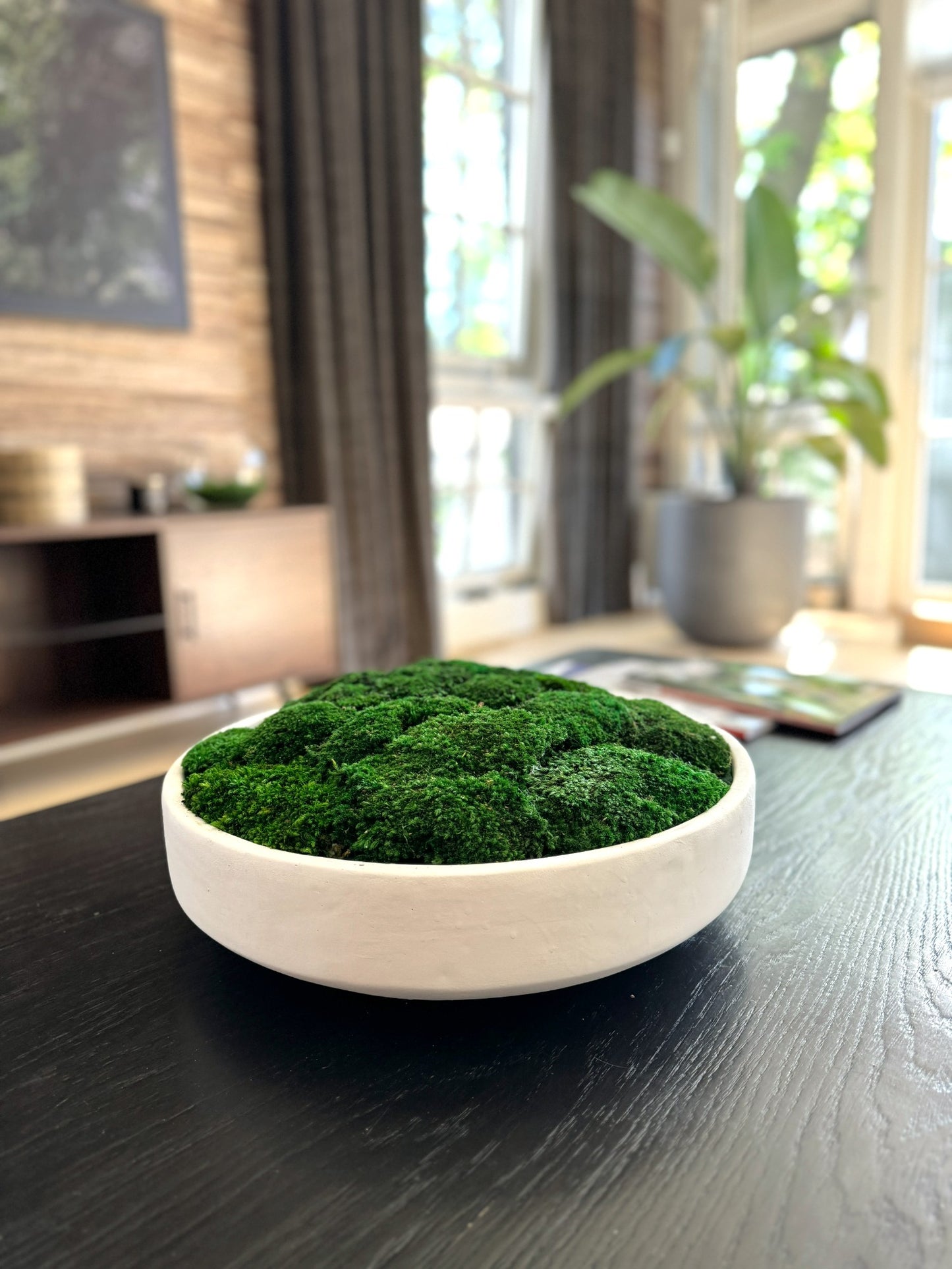 White Concrete Moss Bowl