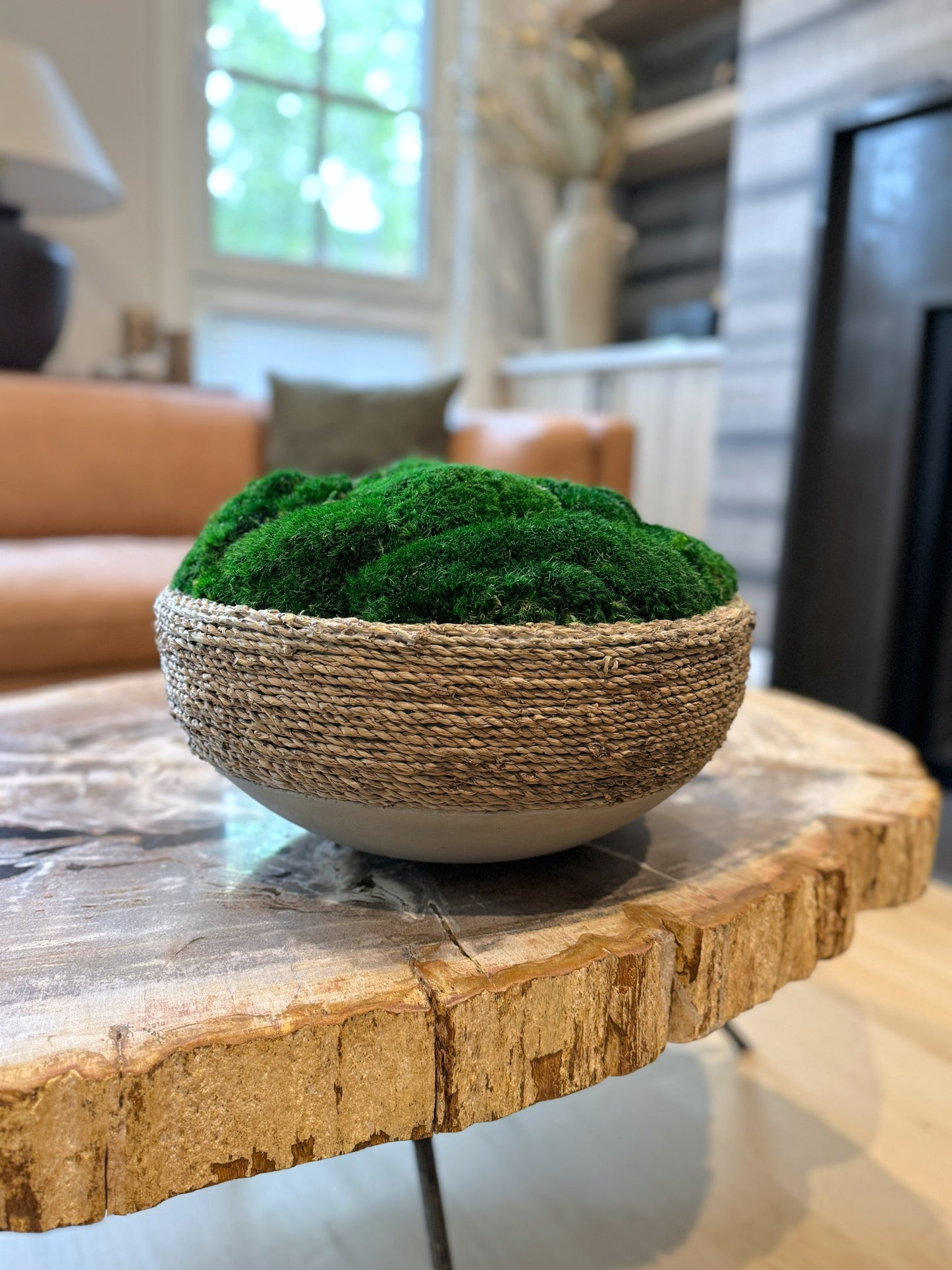 Urban Moss Bowl