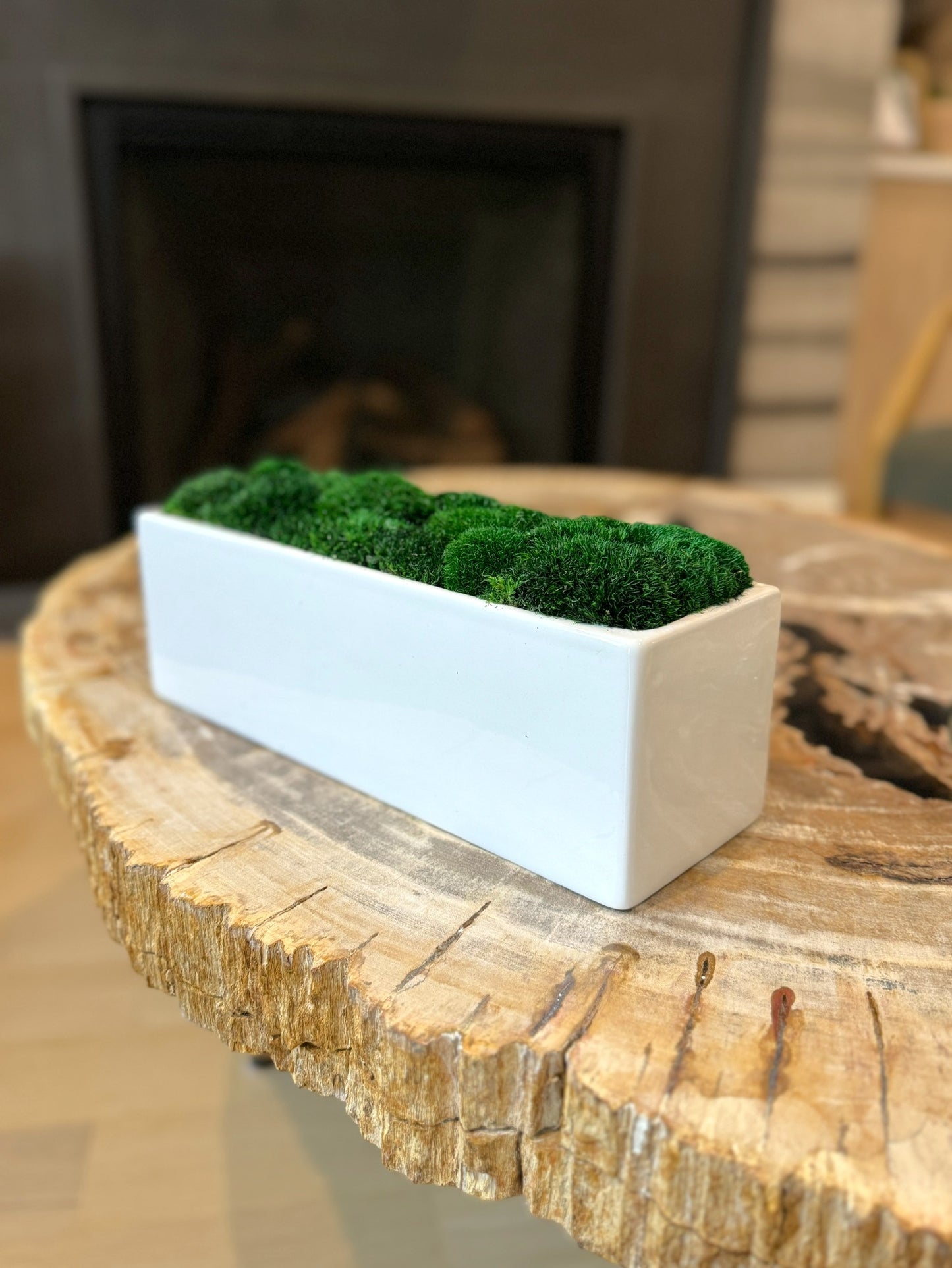 Wide Planter Moss Bowl 14x5x4"