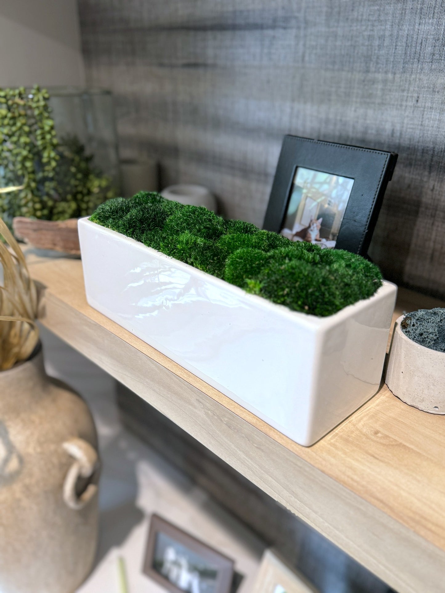 Sleek Planter Moss Bowl 14x3x4.5"