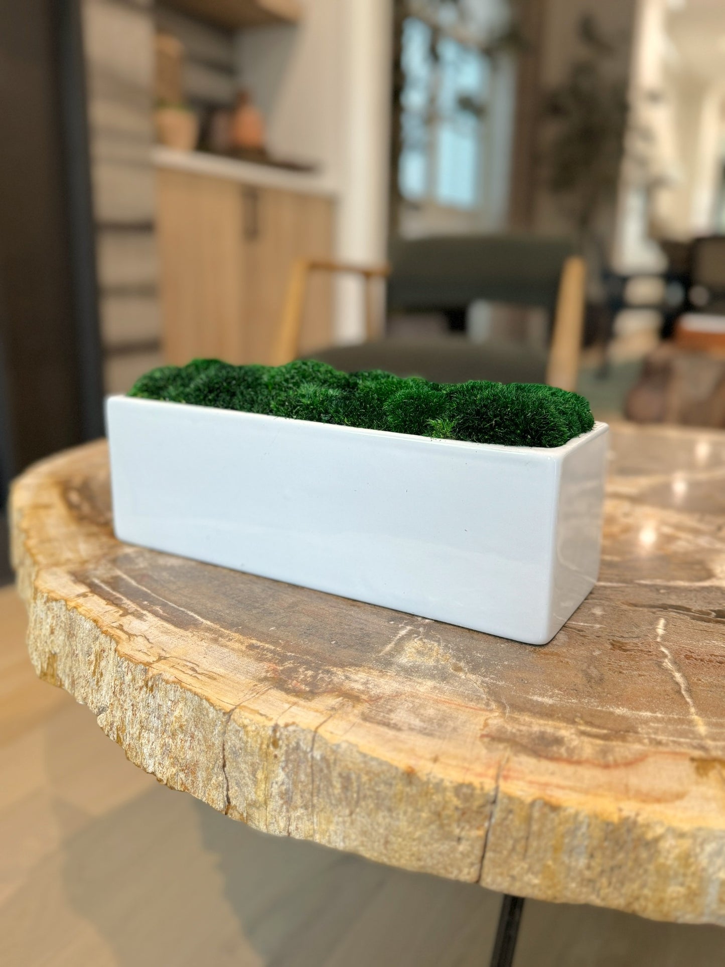 Wide Topiary Moss Bowl (White) 14x5x4"