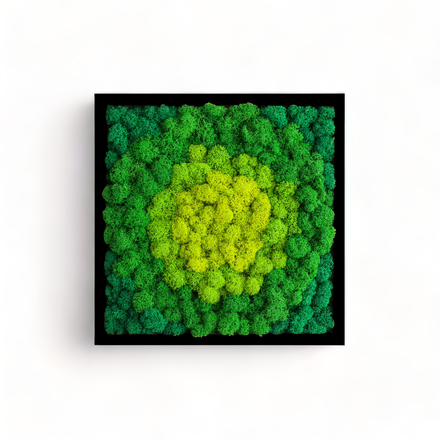 The Vibrant Bohemian - Moss Wall Art Frame