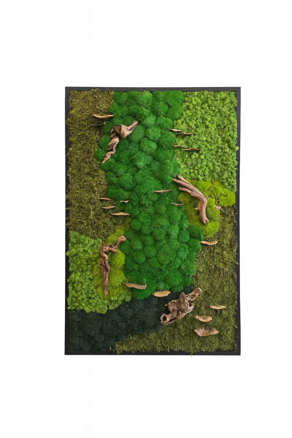 Drifted Woodlands Moss Art Frame