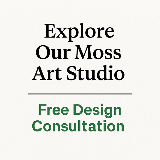 Design Consultation & Studio Tour Appointment