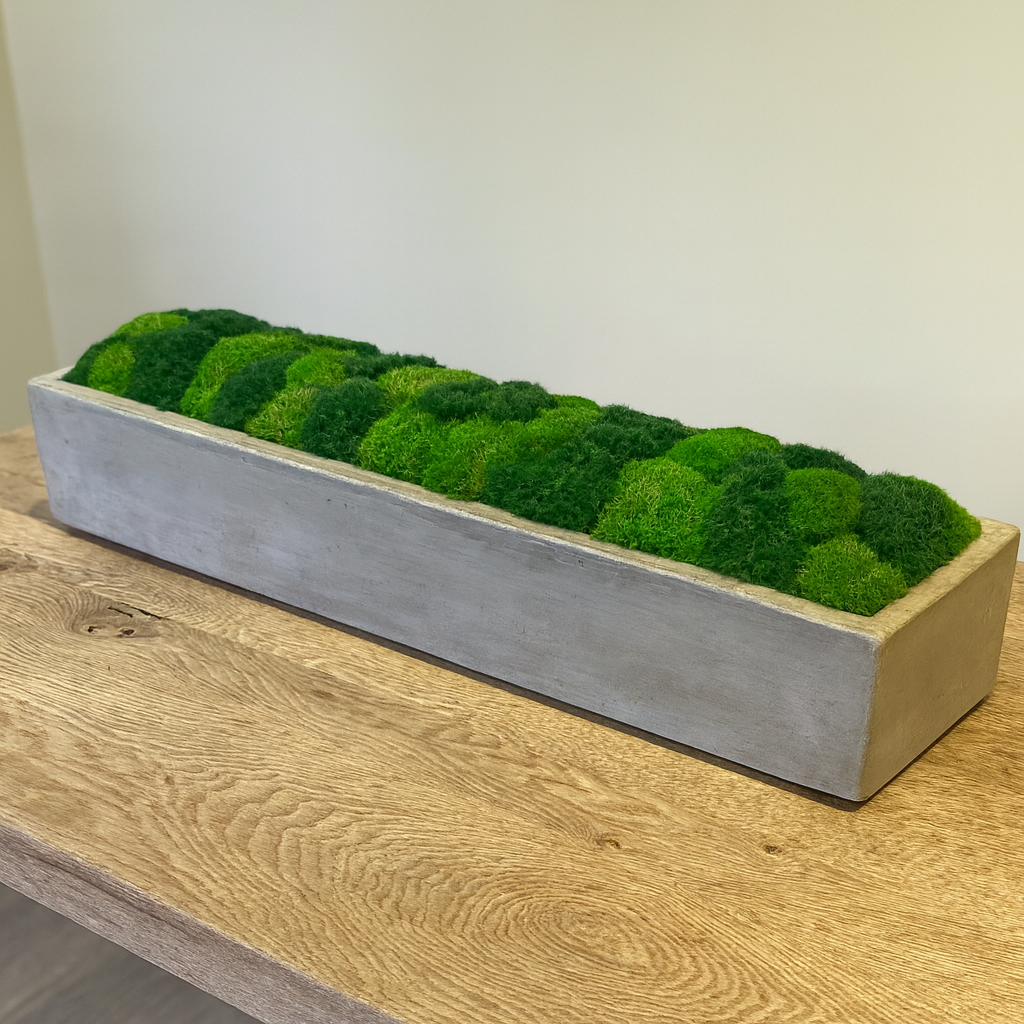 Green Grass Polkadot Restoration Concrete Planter Moss Bowl