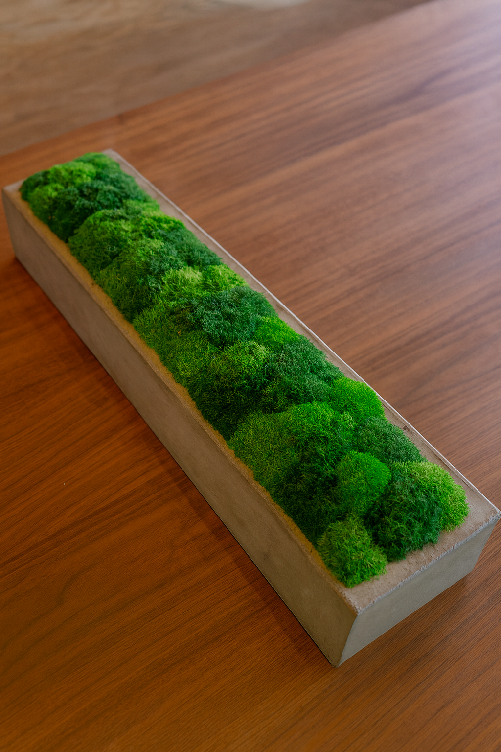 Green Grass Polkadot Restoration Concrete Planter Moss Bowl