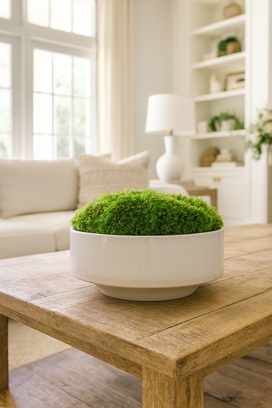 Cantur Footed Moss Bowl