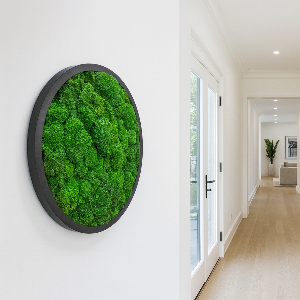 Nature’s Orbit Circle Moss Art Frame