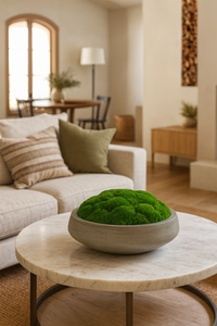 Green Oasis Huntington Moss Bowl