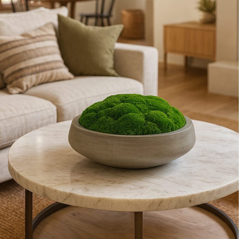 The Moss Shop | Custom Moss Art, Walls & Nature-Inspired Decor