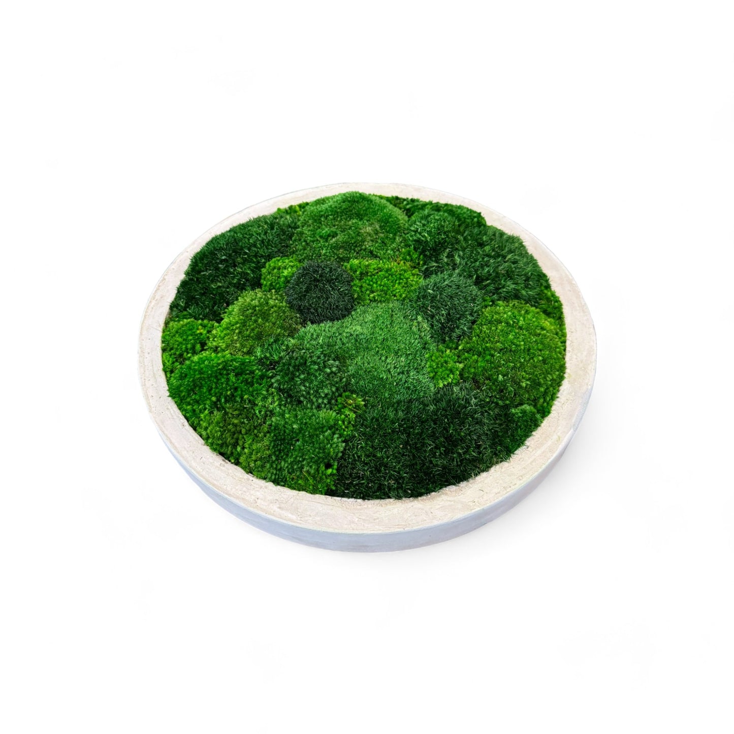 Low-Profile Concrete Moss Bowl