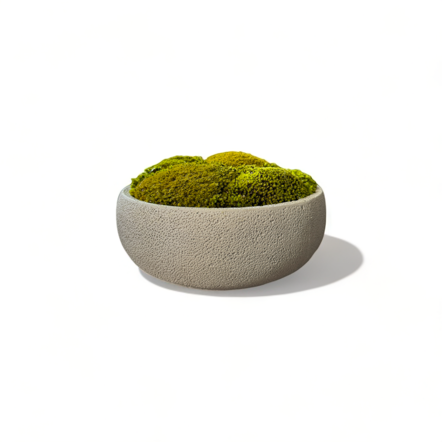 Textured Concrete Moss Bowl