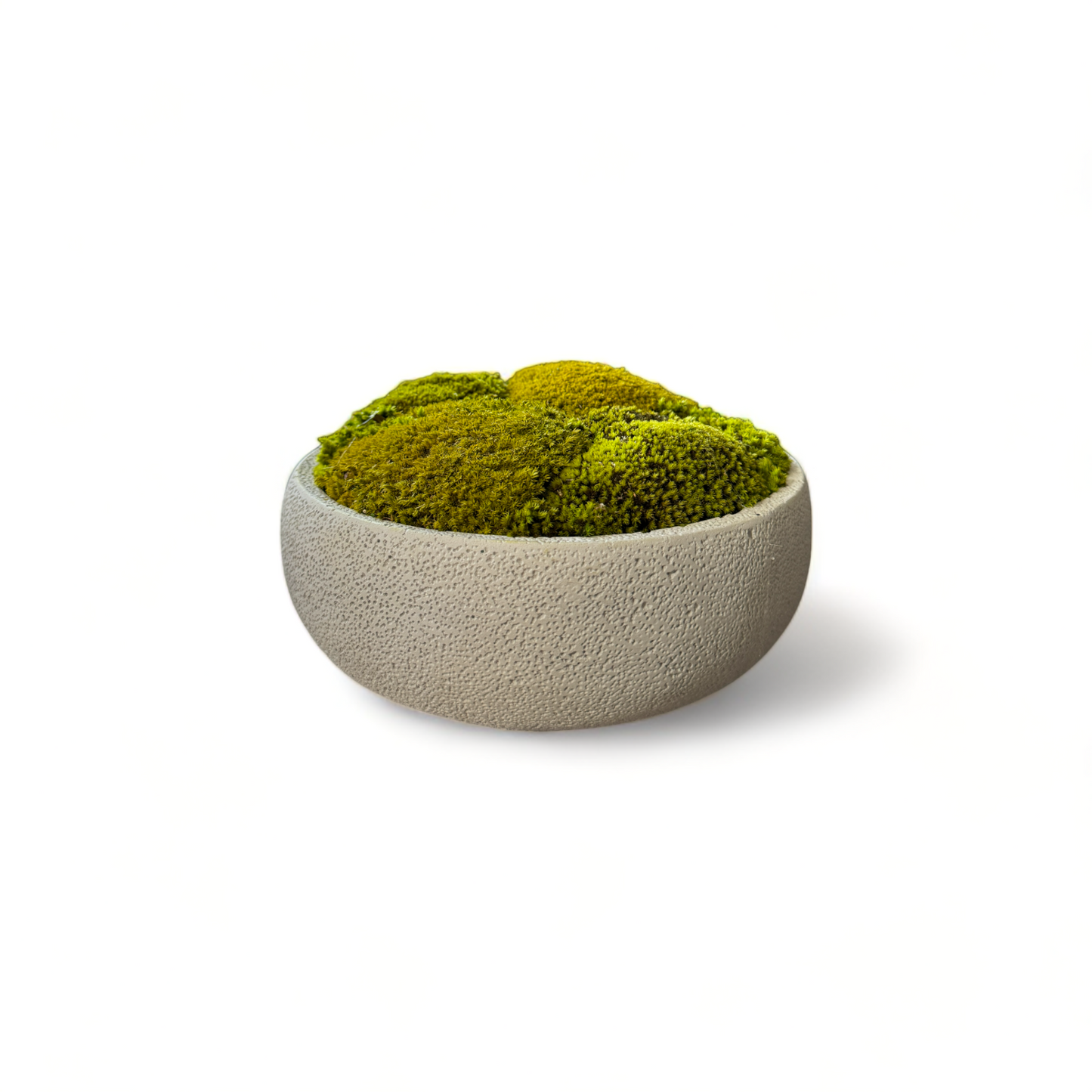 Textured Concrete Moss Bowl