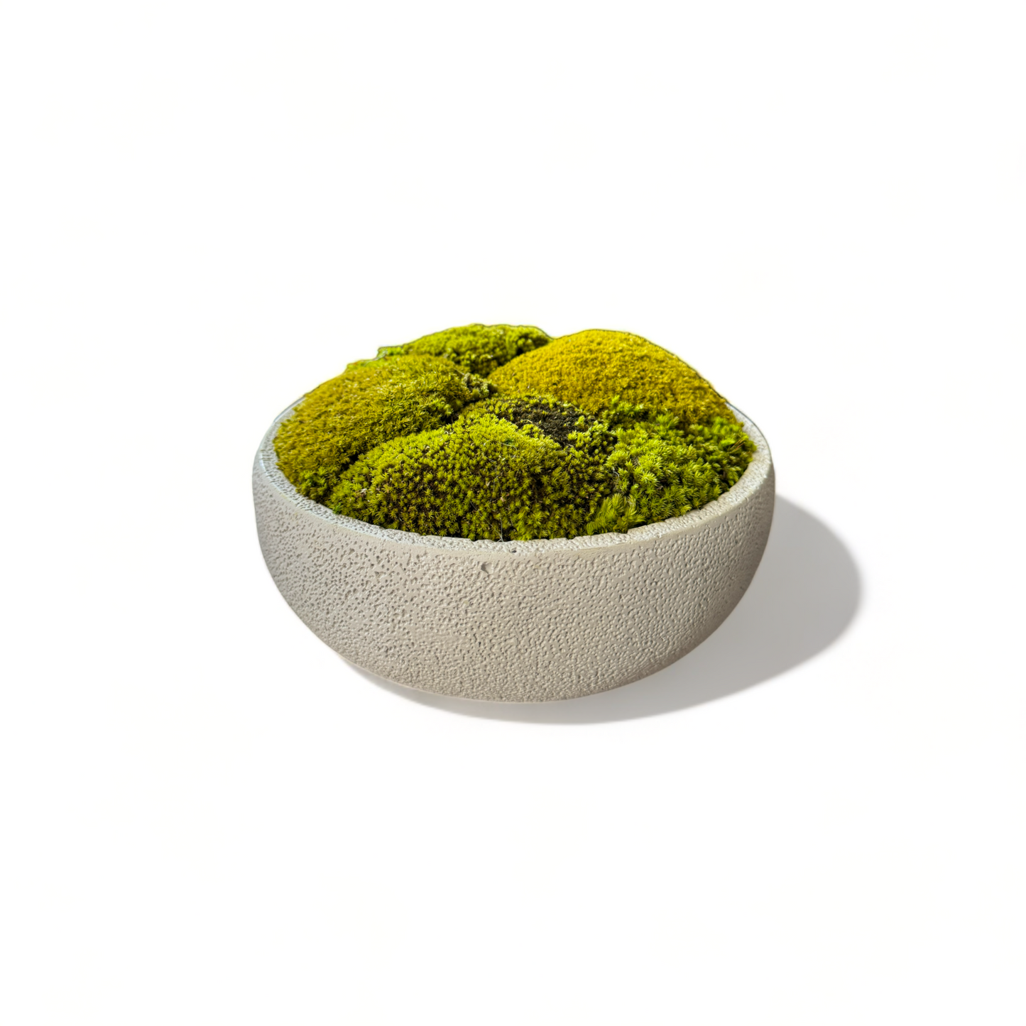 Textured Concrete Moss Bowl