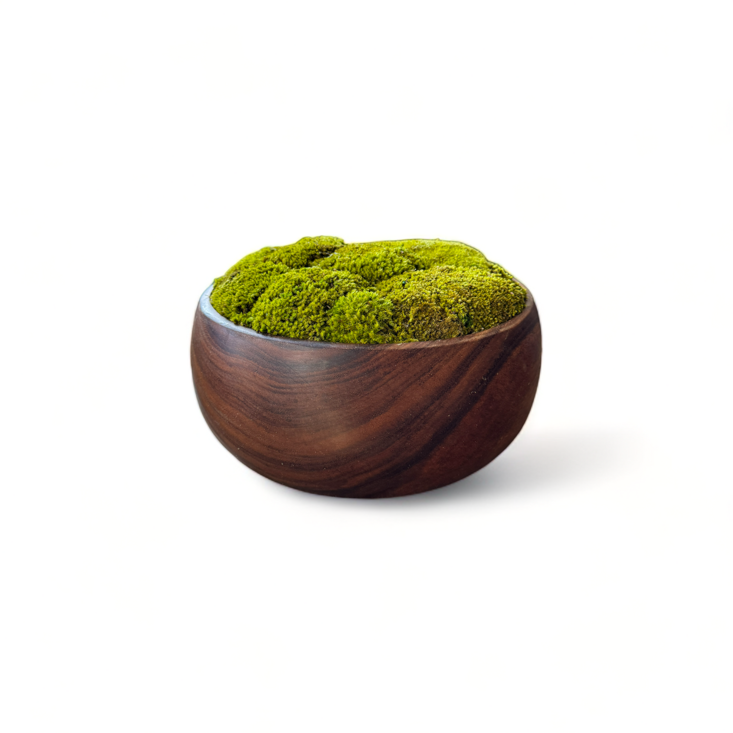 Brown Wooden Moss Bowl