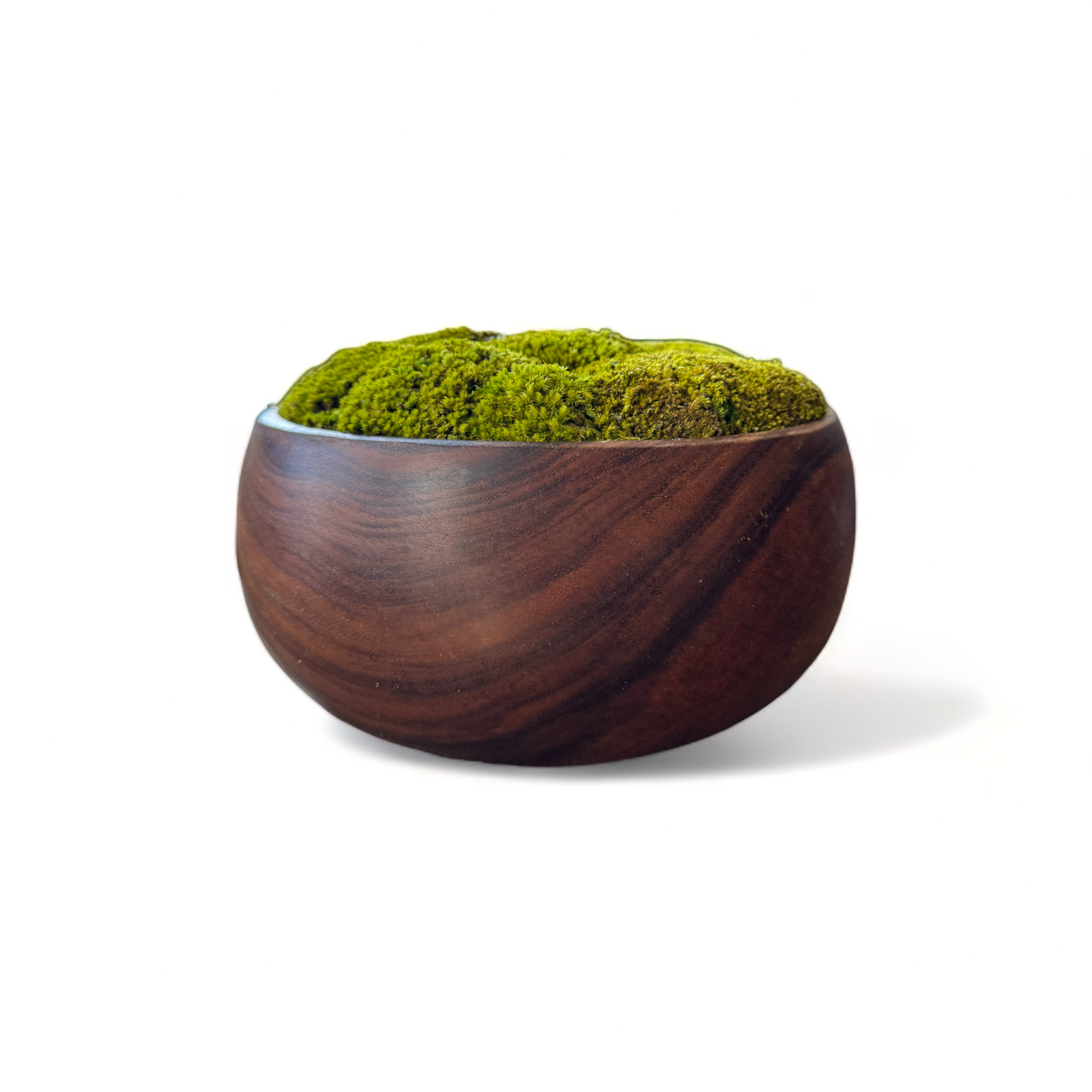 Brown Wooden Moss Bowl