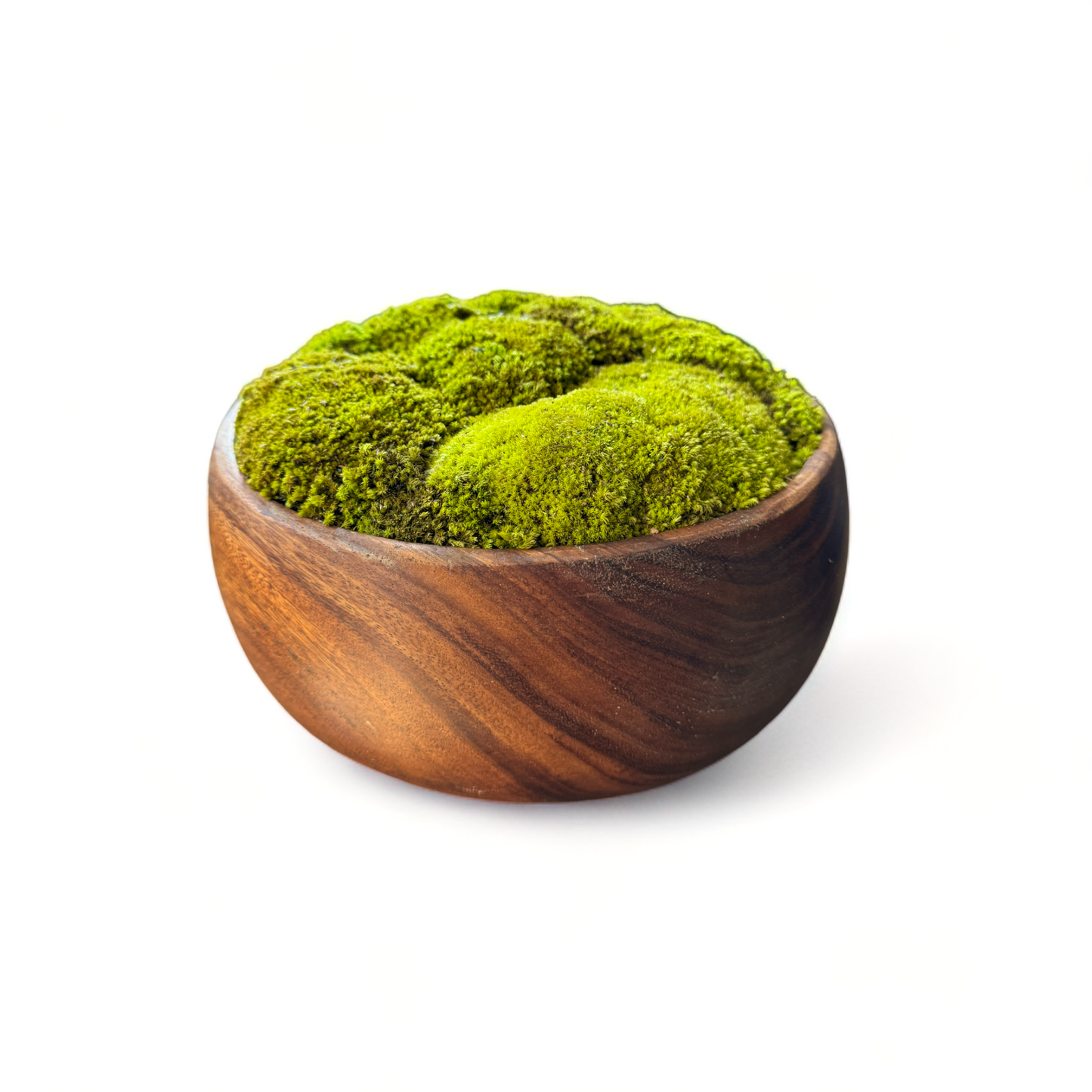 Brown Wooden Moss Bowl