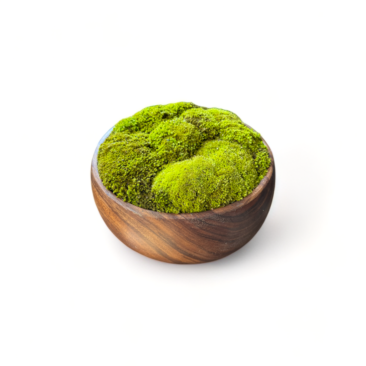 Brown Wooden Moss Bowl