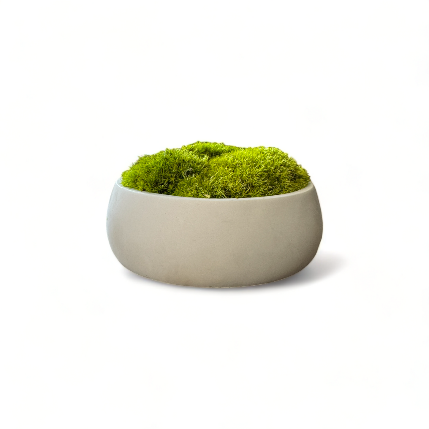 Small Concrete Bowl