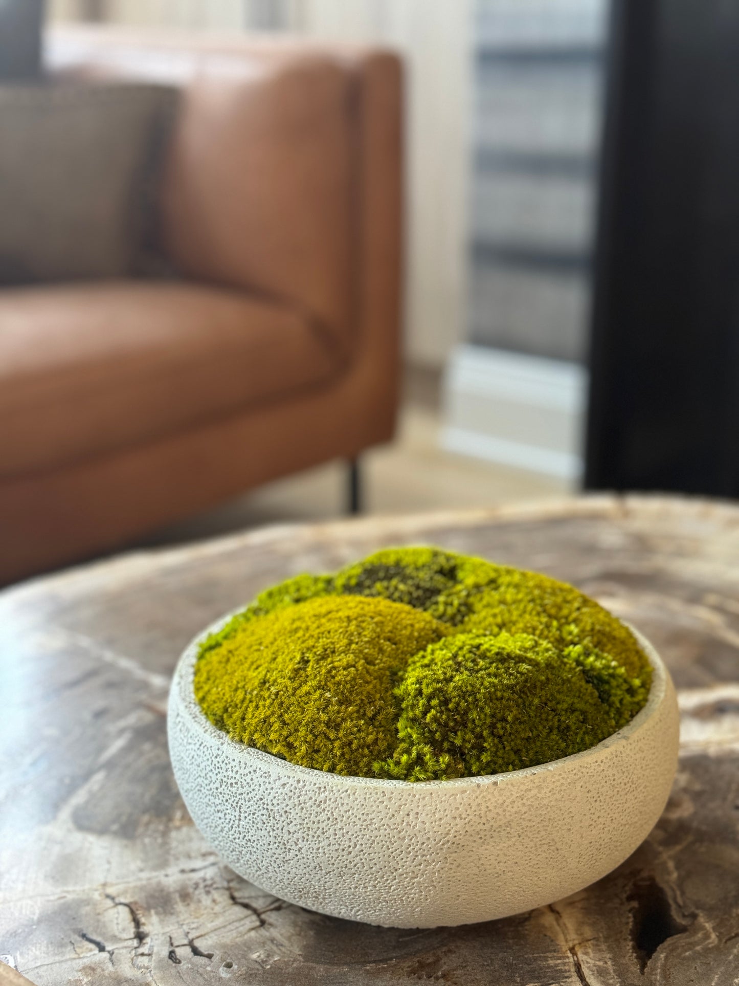 Textured Concrete Moss Bowl