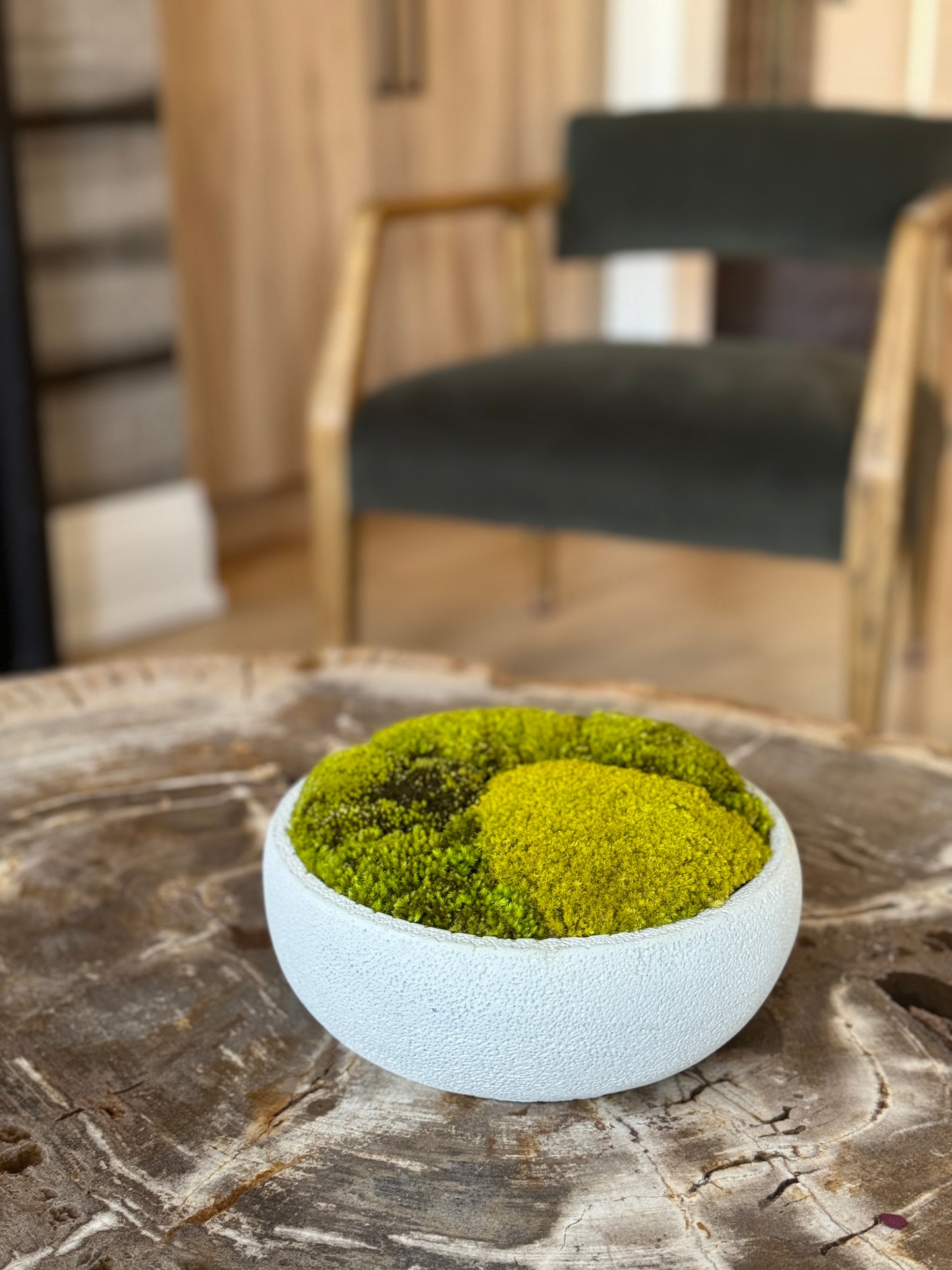 Textured Concrete Moss Bowl