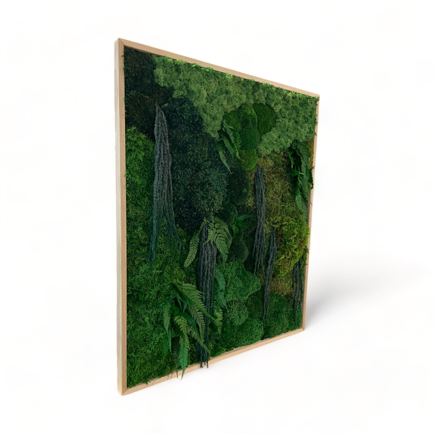 The Deep Forest Moss Art Frame