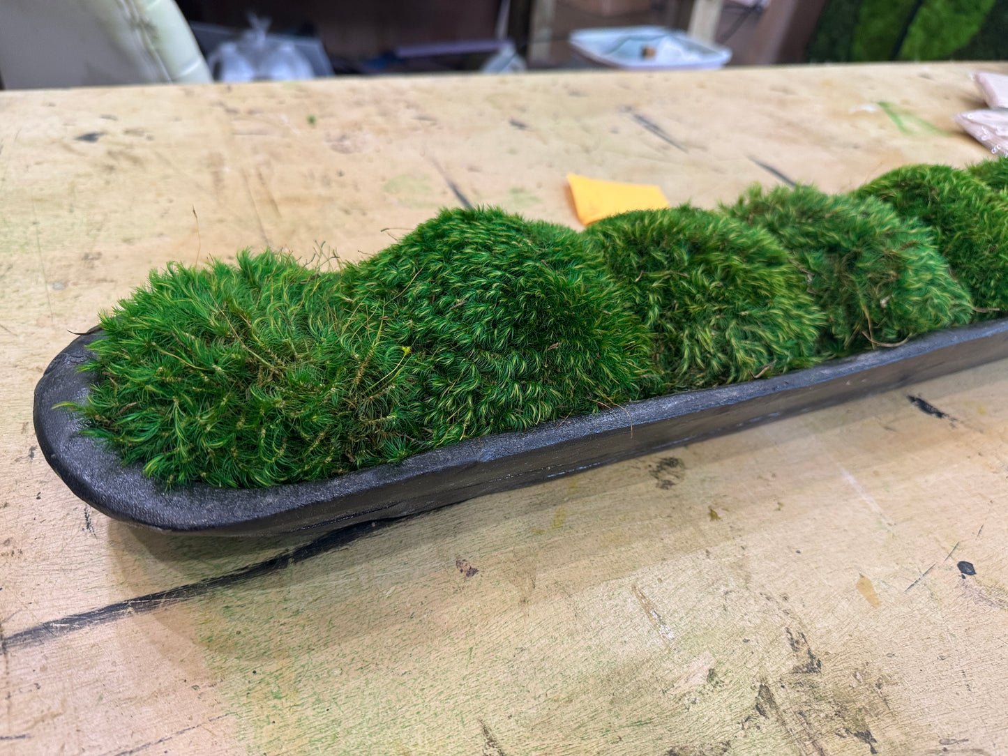 Forest Noir Moss Dough Bowl