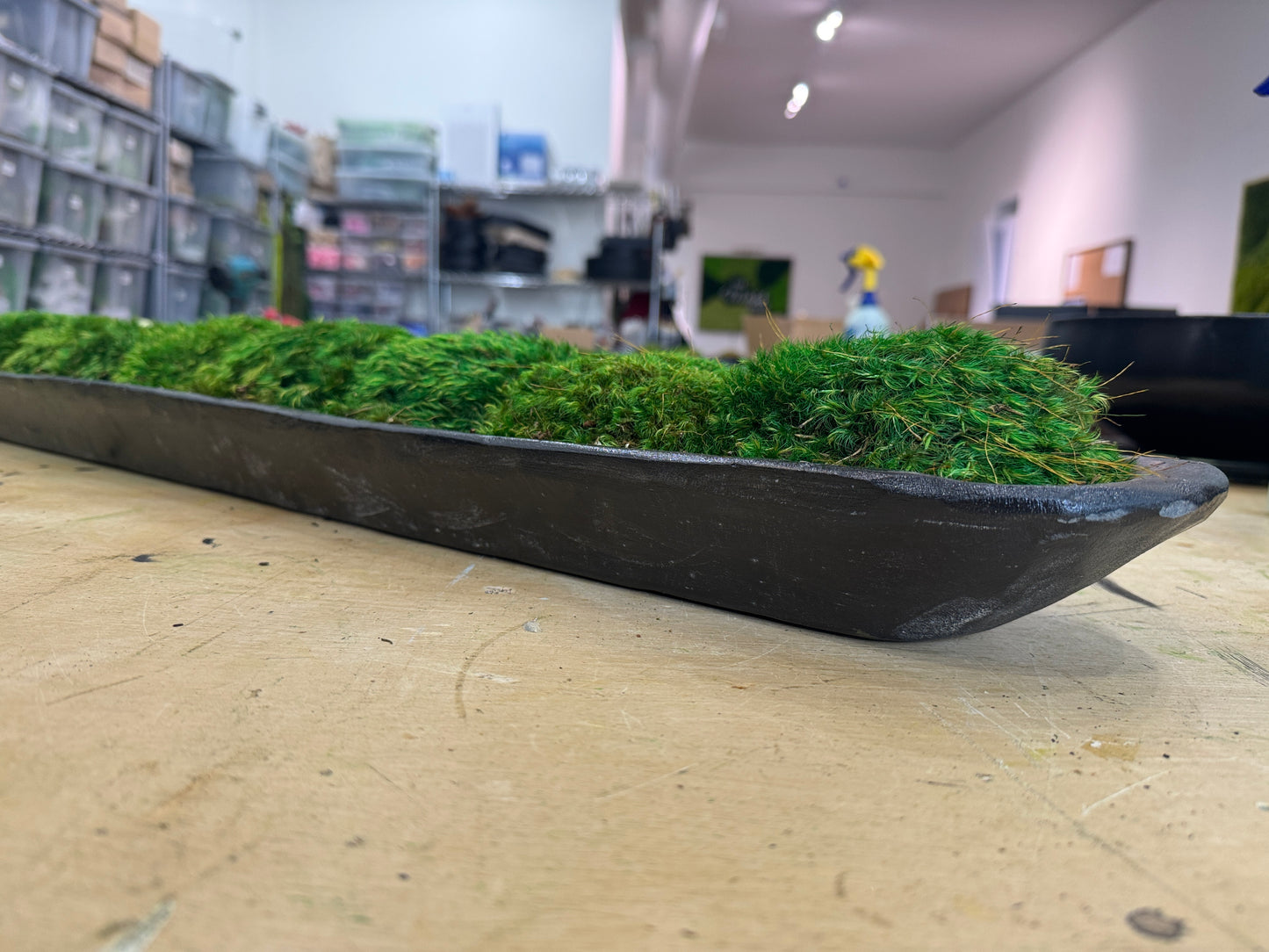 Forest Noir Moss Dough Bowl