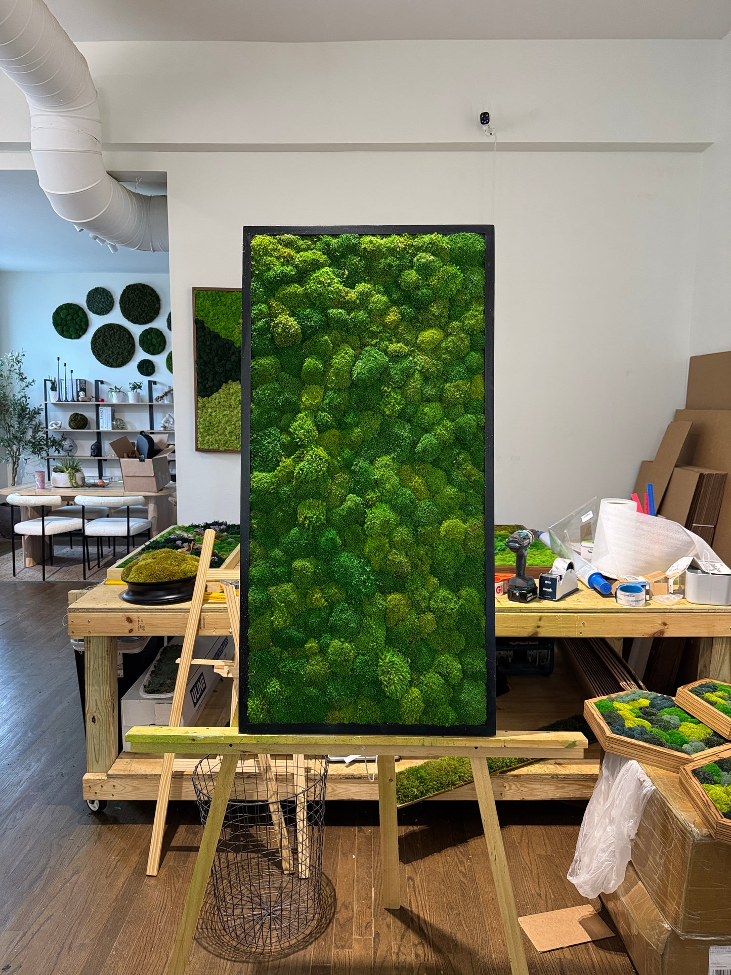 Lighting-Enhanced Moss Art Frame