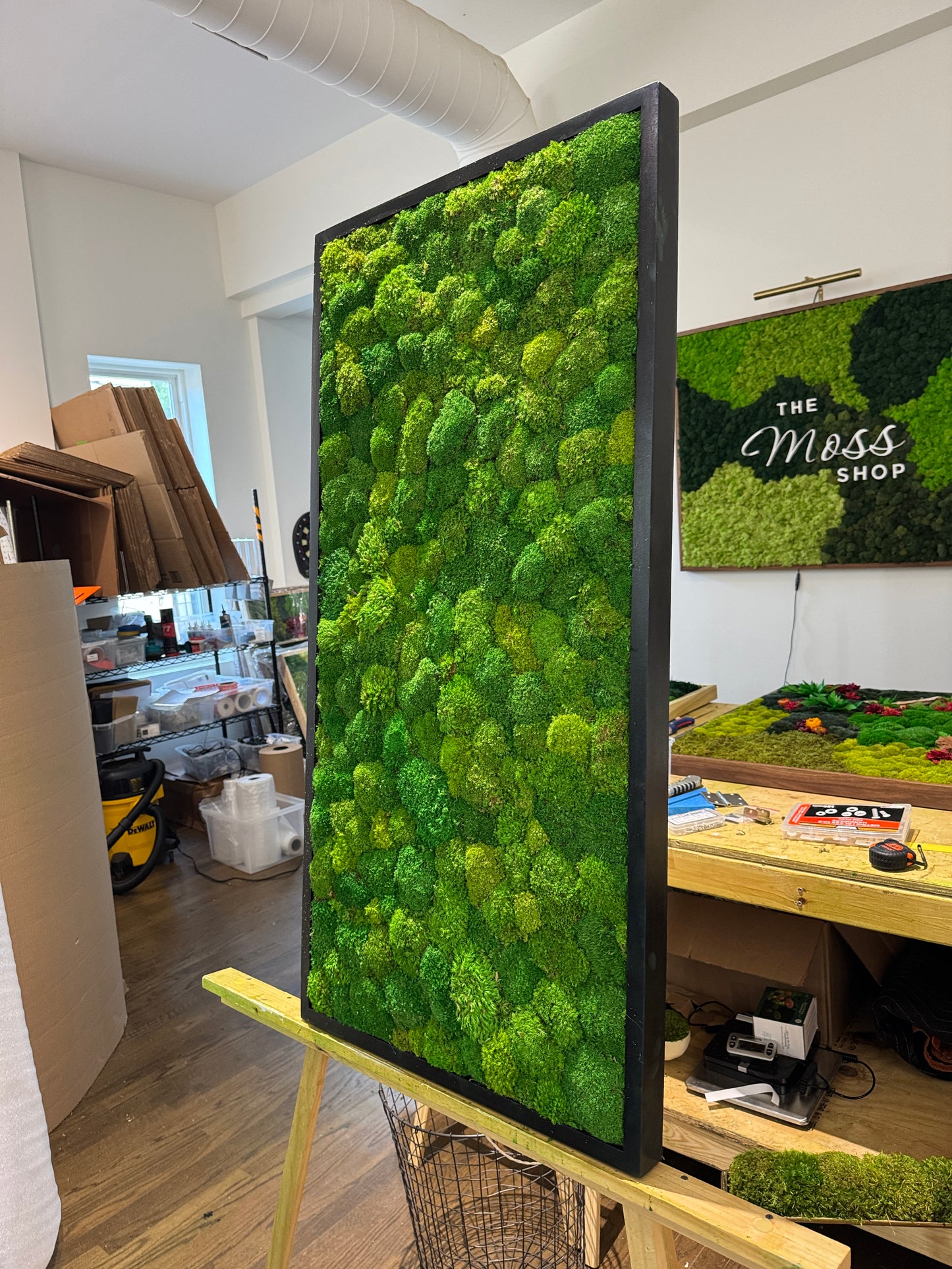 Lighting-Enhanced Moss Art Frame