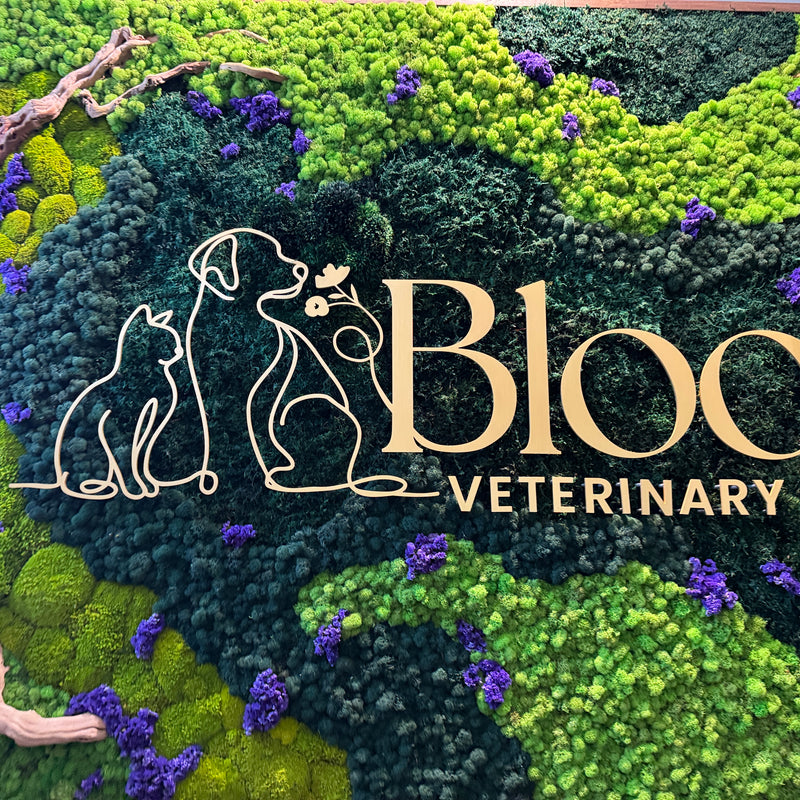 Bloom Veterinary Hospital