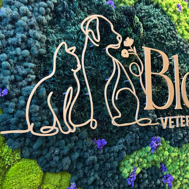 Bloom Veterinary Hospital