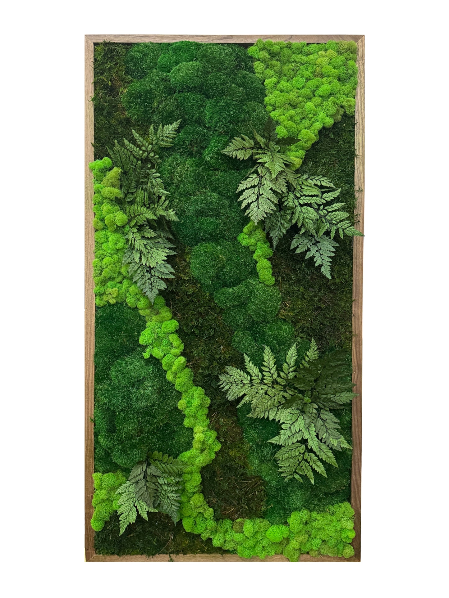 The Greenery with Leaves Moss Art Frame