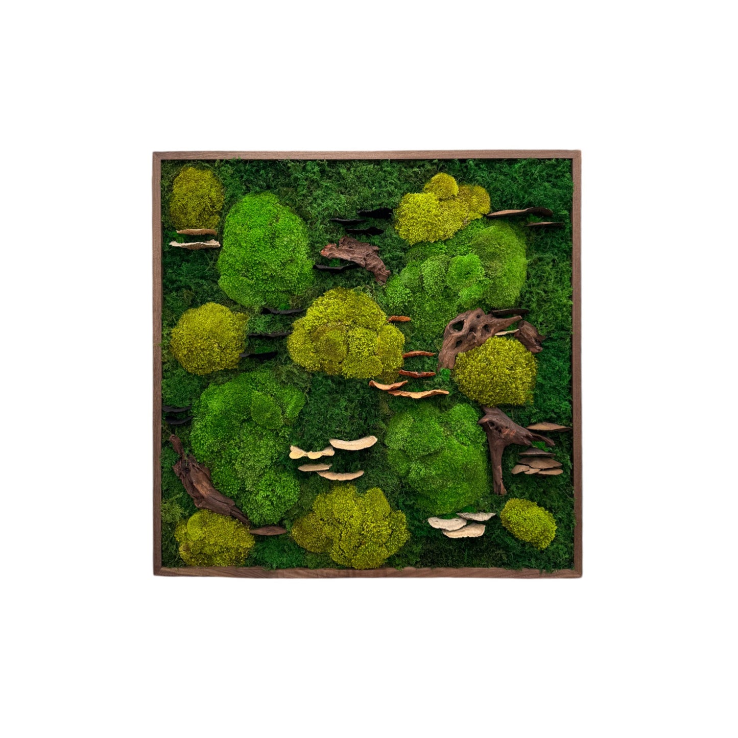 Moss Frame with Mushrooms and Driftwood