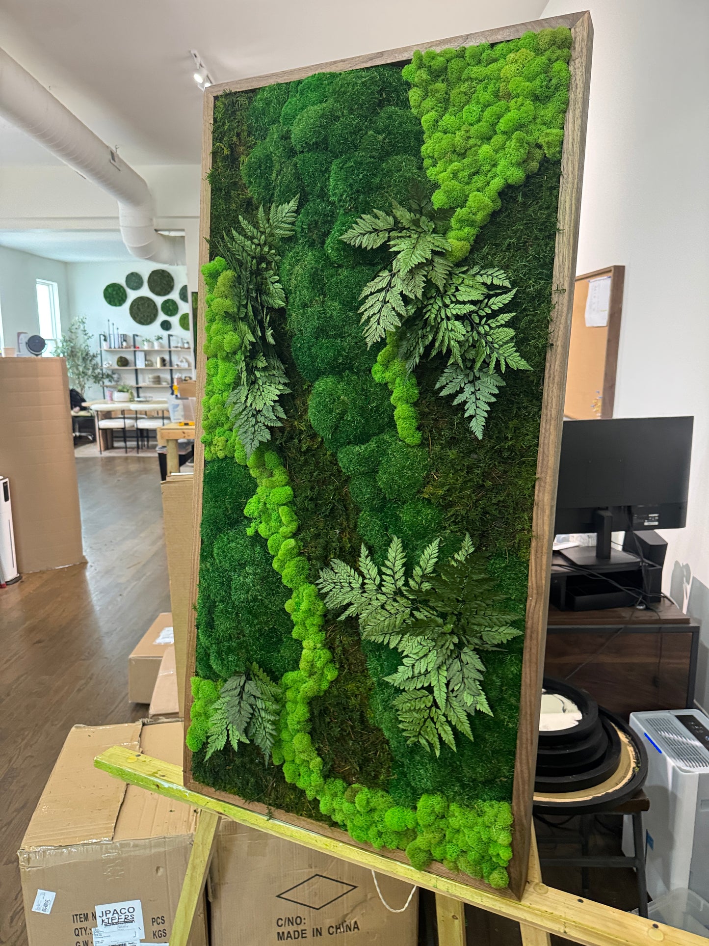 The Greenery with Leaves Moss Art Frame