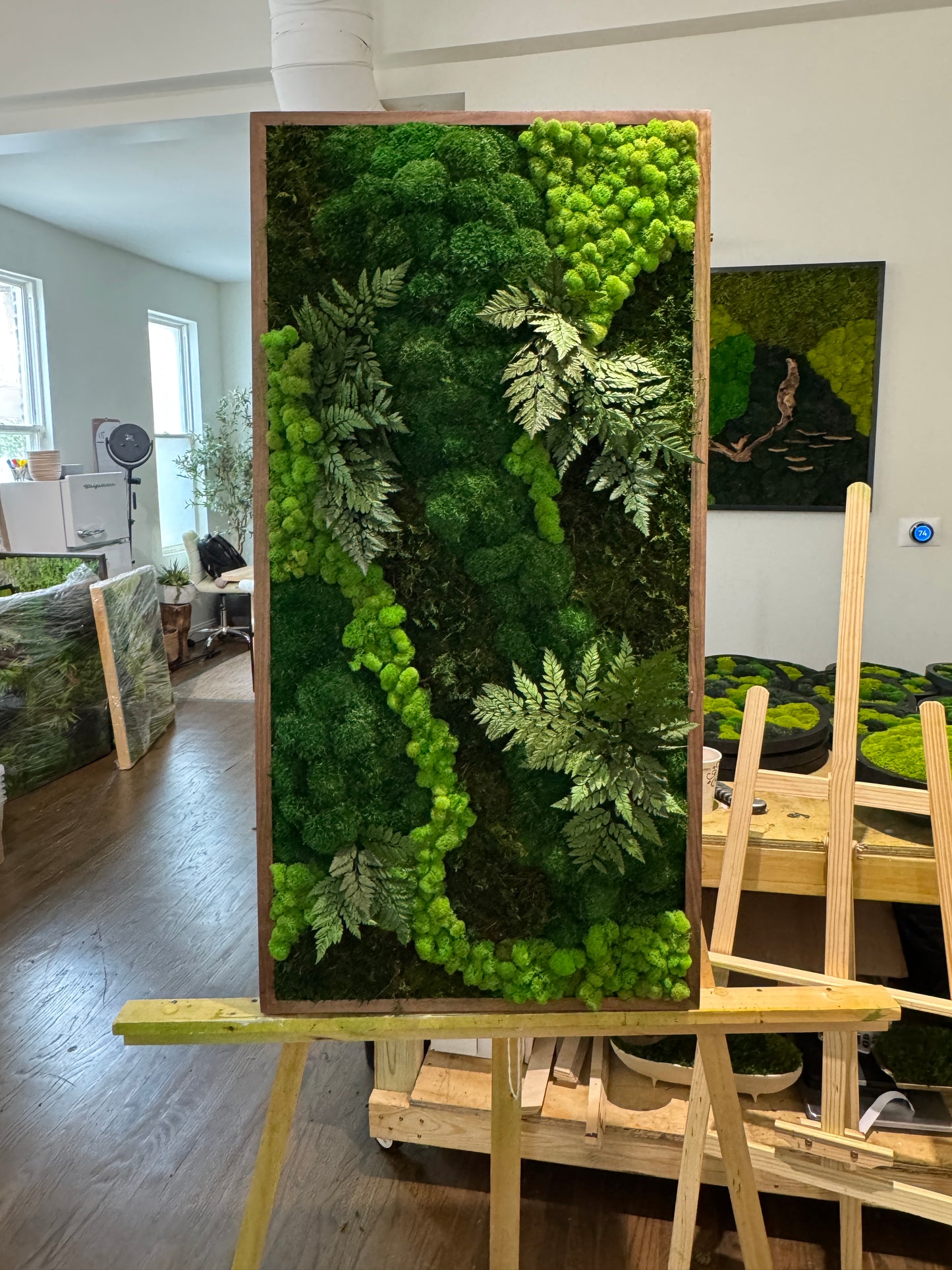 The Greenery with Leaves Moss Art Frame